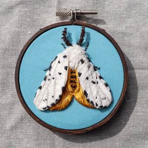 Moth & Butterfly Embroideries