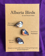 Load image into Gallery viewer, Alberta Bird Mini Wooden Pin Set