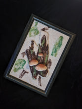 Load image into Gallery viewer, Framed Needle Felting