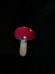 Needle Felted Mushroom
