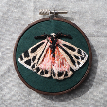 Load image into Gallery viewer, Moth &amp; Butterfly Embroideries