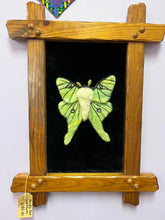 Load image into Gallery viewer, Needle Felted Art (Luna Moth Framed)