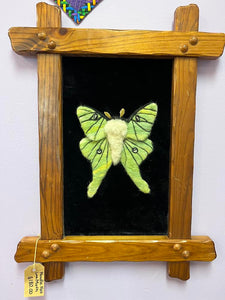 Needle Felted Art (Luna Moth Framed)