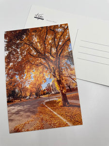 Fall Postcard