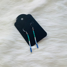 Load image into Gallery viewer, Pride Earrings by Birdie Bull