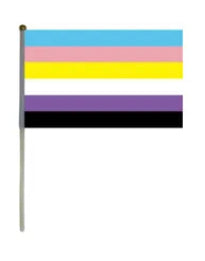 Small Pride Flags 5.5
