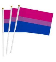 Load image into Gallery viewer, Small Pride Flags 5.5&quot; x 8.25&quot;