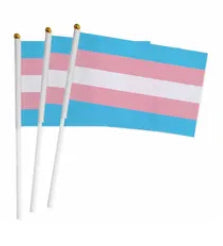 Small Pride Flags 5.5" x 8.25"