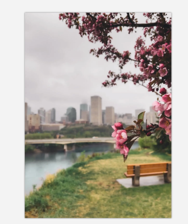 City Blooms Postcard