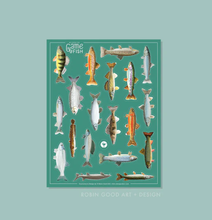 Load image into Gallery viewer, Alberta Game fish poster/stickers