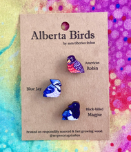 Load image into Gallery viewer, Alberta Birds Mini Wooden Pin Set