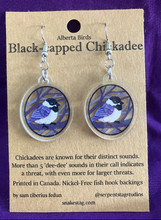 Load image into Gallery viewer, Alberta Bird earrings