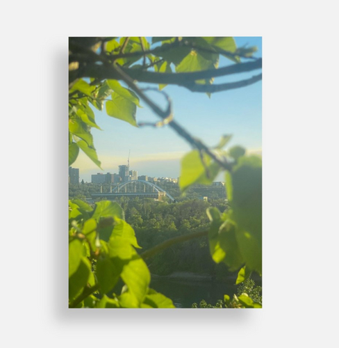 Summer's Frame Postcard
