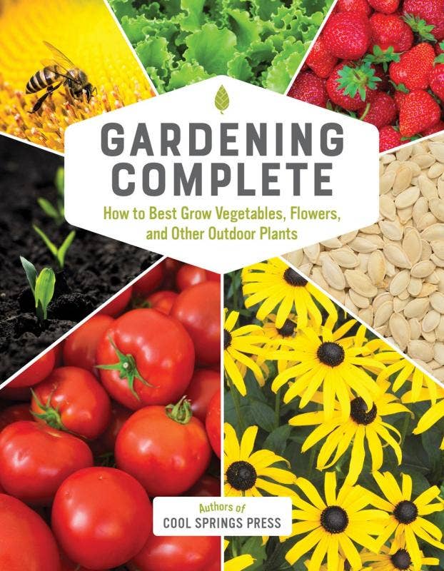 Gardening Complete: How to Best Grow Outdoor Plants