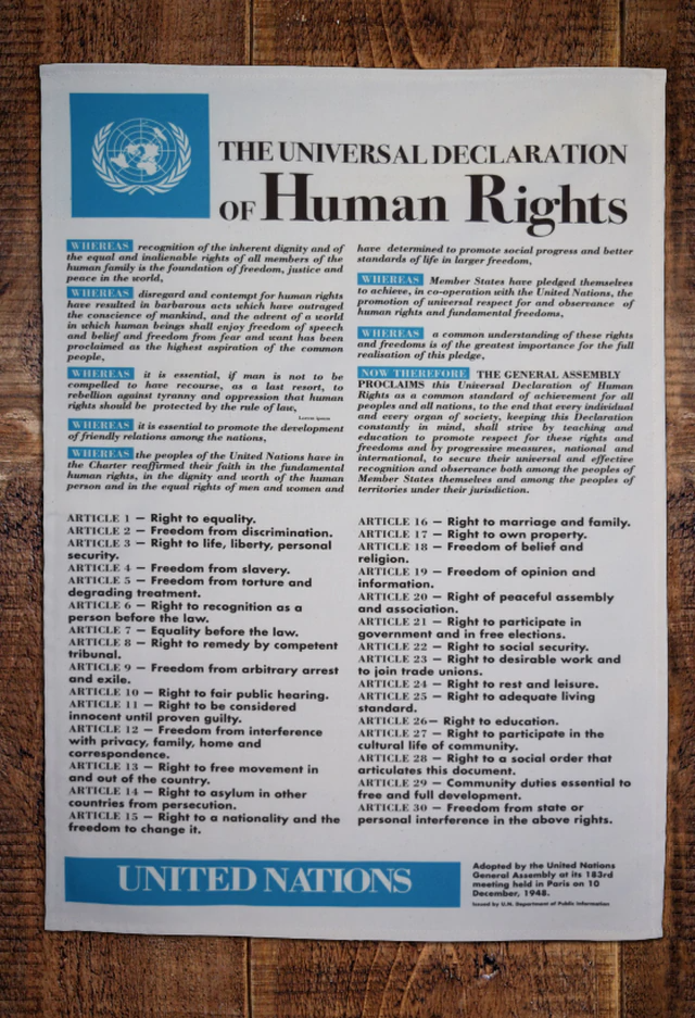 Universal Declaration of Human Rights Tea Towel