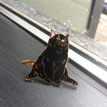Load image into Gallery viewer, Chonkiest Cat Enamel Pin