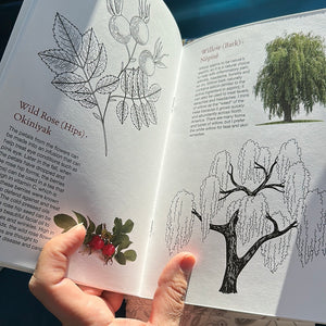 Colouring Book - Mother Earth Essentials